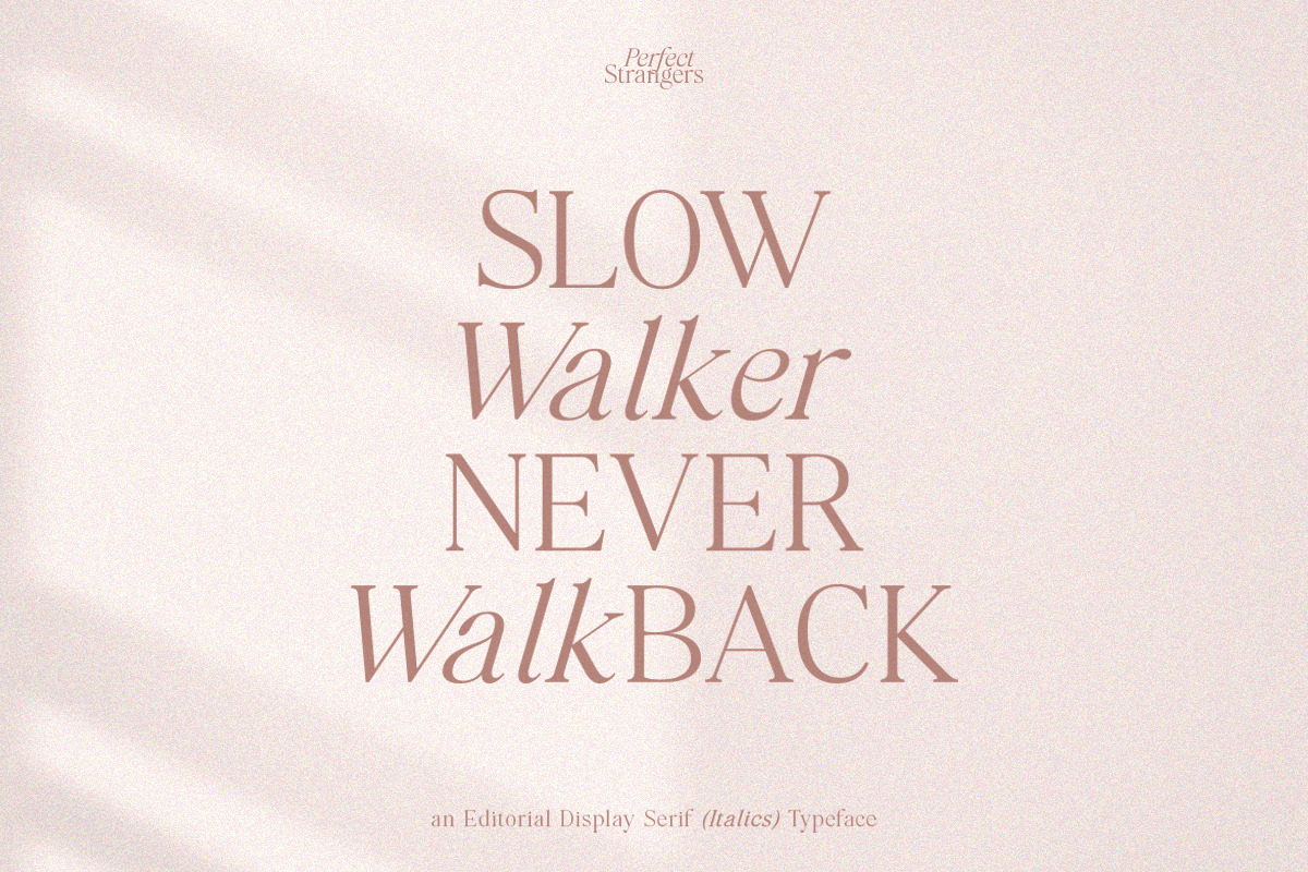 Perfect Strangers I Elegant Serif Perfect Strangers I Elegant Serif