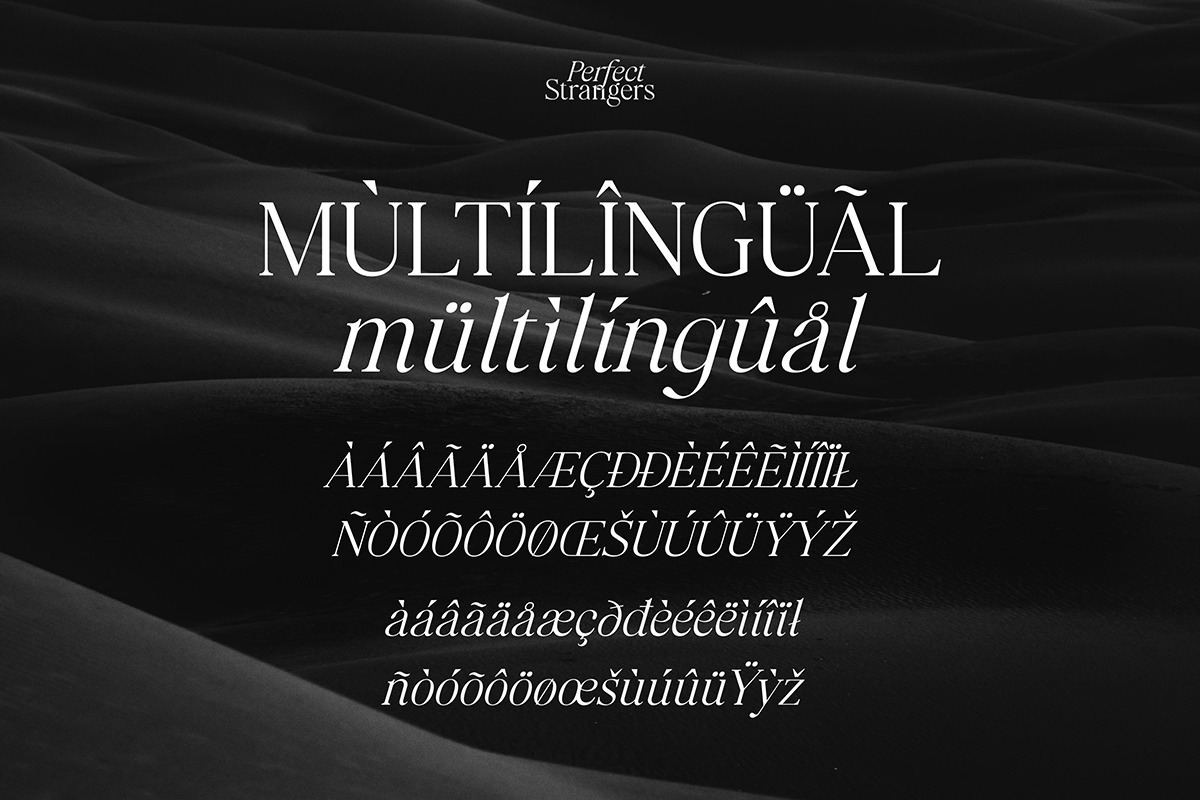 Perfect Strangers I Elegant Serif Perfect Strangers I Elegant Serif