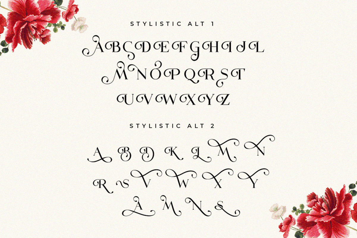 The Dough | Luxury Style Serif Font The Dough | Luxury Style Serif Font
