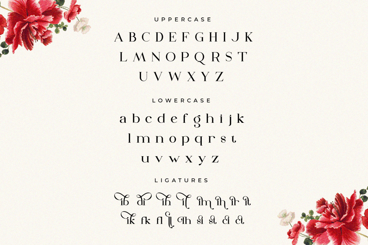The Dough | Luxury Style Serif Font The Dough | Luxury Style Serif Font