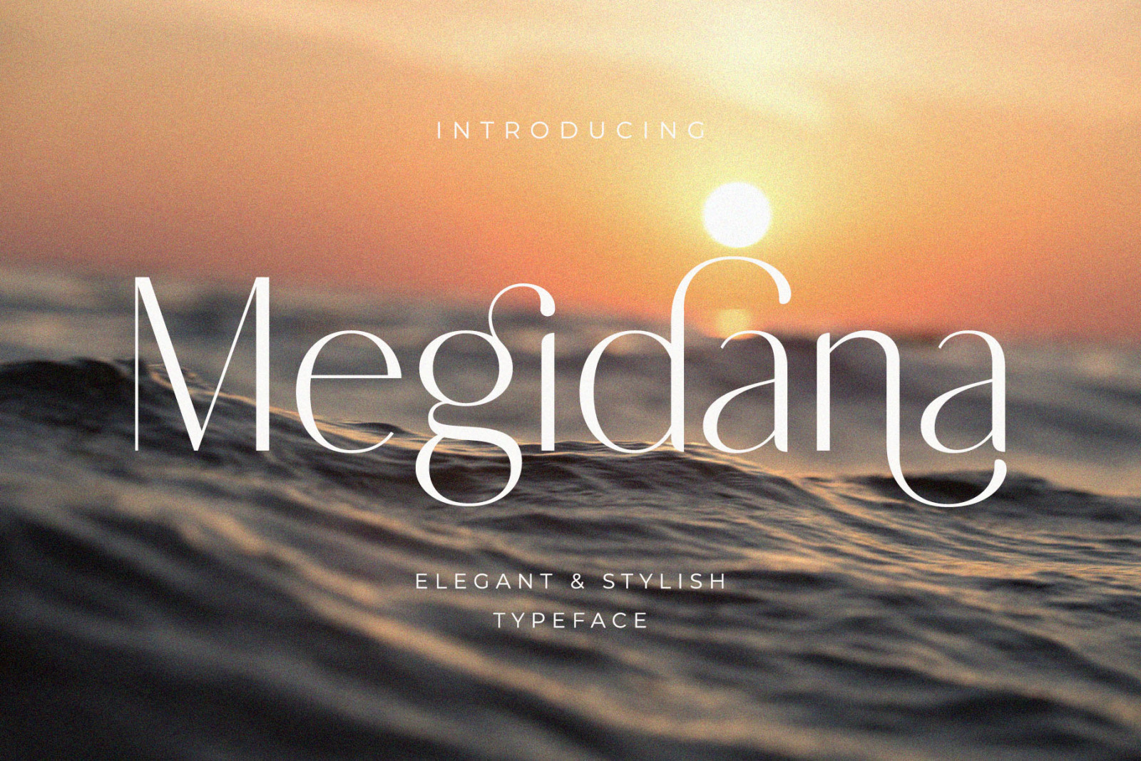 Megidana - Elegant &amp; Stylish Sans Serif