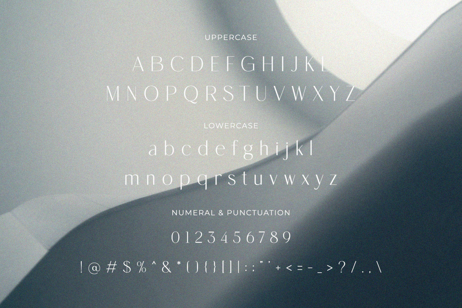 Megidana - Elegant &amp; Stylish Sans Serif