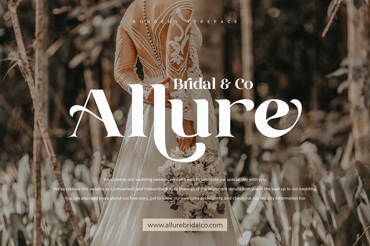 Borgeny | Modern Classy Serif Font Borgeny | Modern Classy Serif Font