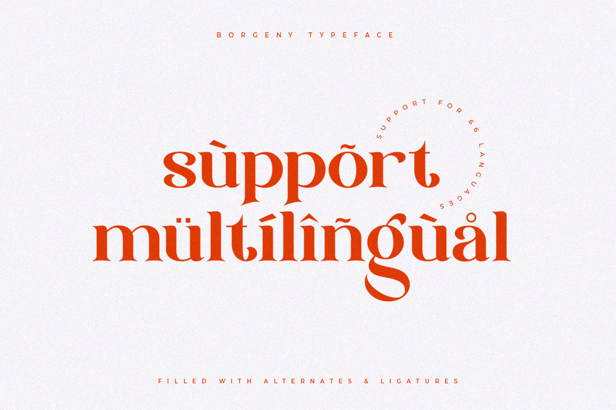 Borgeny | Modern Classy Serif Font Borgeny | Modern Classy Serif Font
