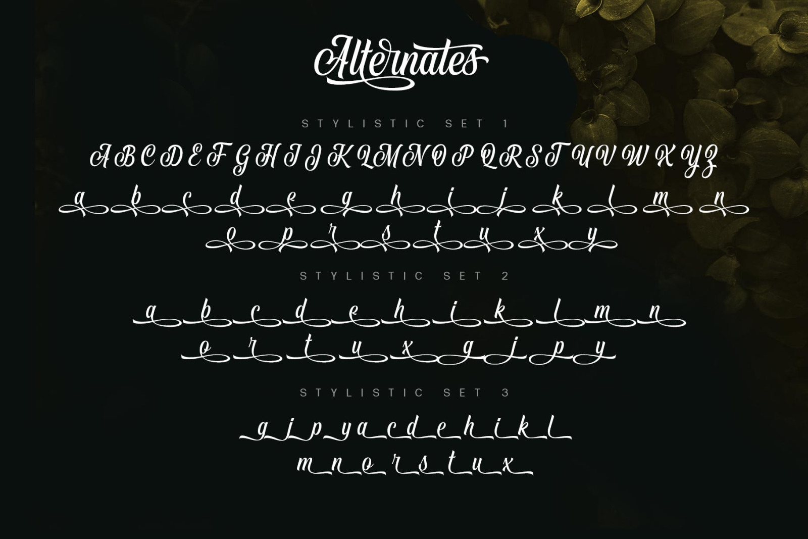 Vontgod Typeface