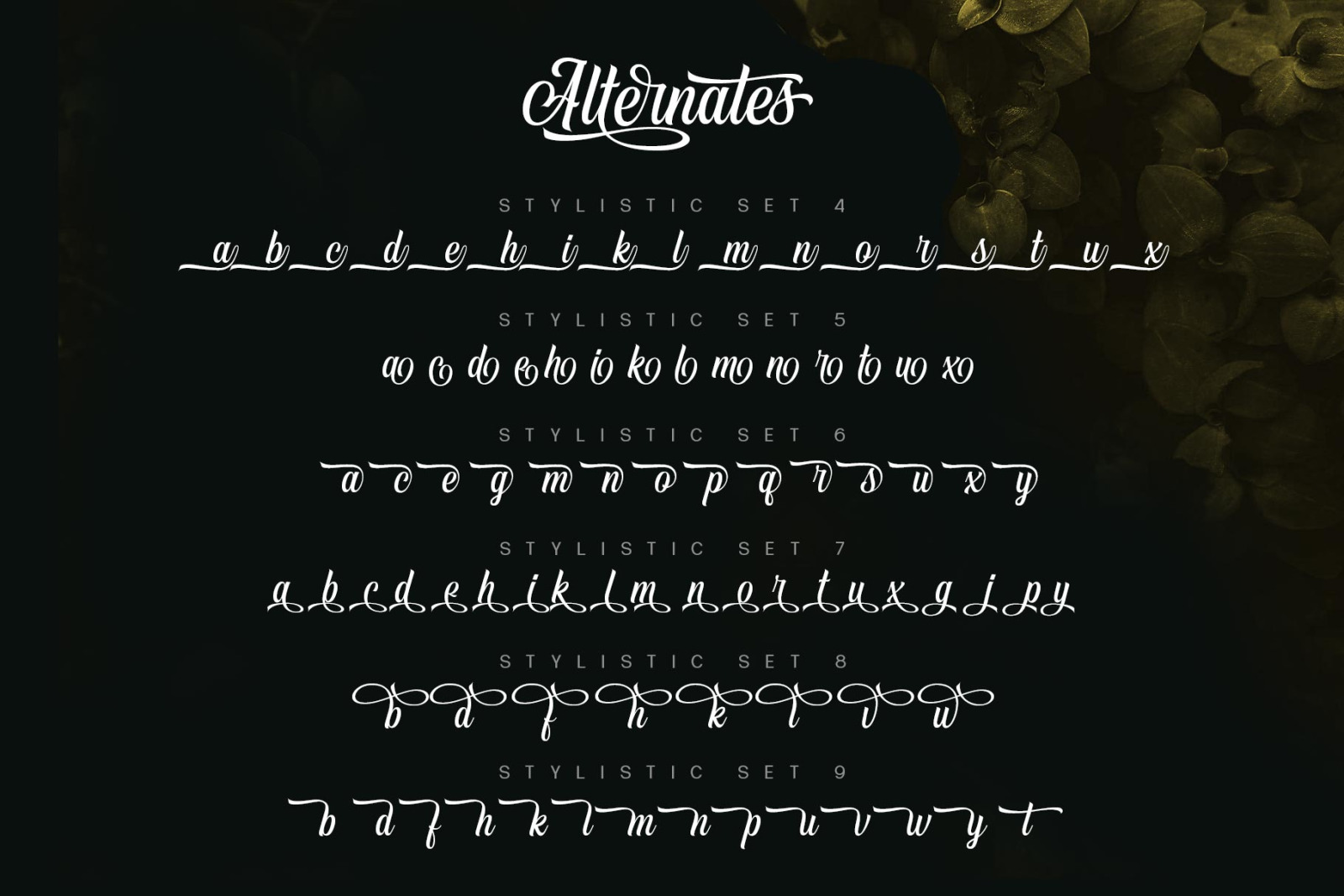 Vontgod Typeface