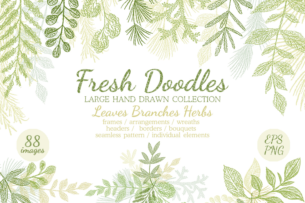 Vector Leaves Branches, Herbs Fresh Doodle collection