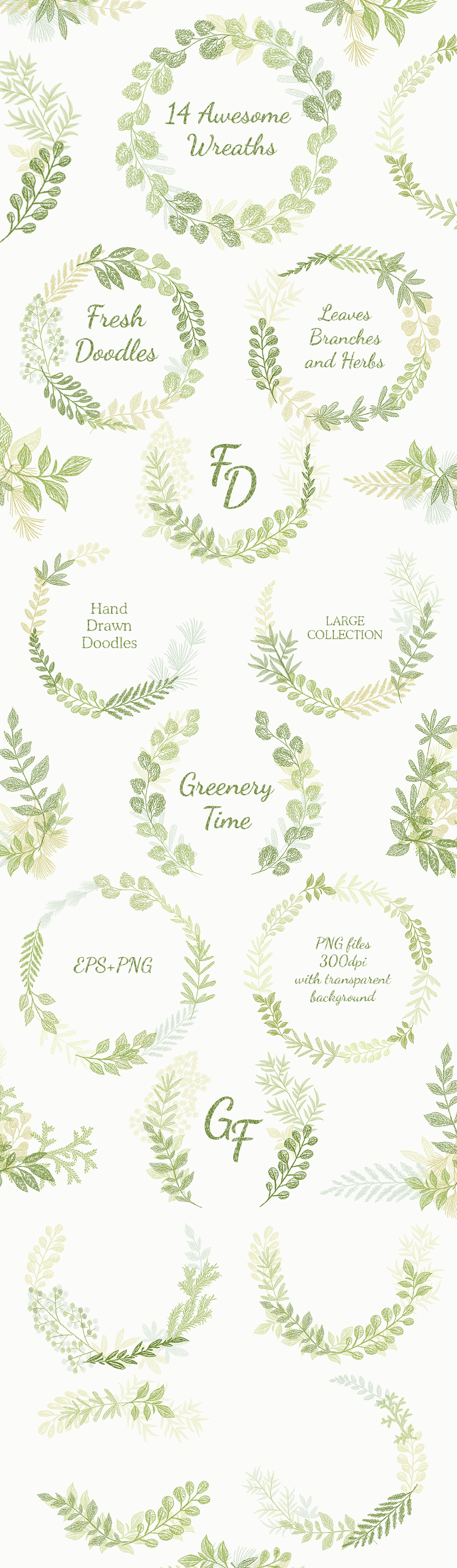 Vector Leaves Branches, Herbs Fresh Doodle collection