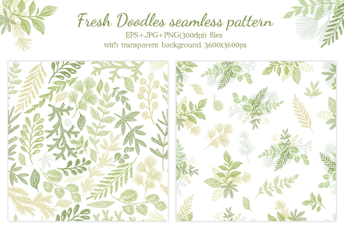 Vector Leaves Branches, Herbs Fresh Doodle collection