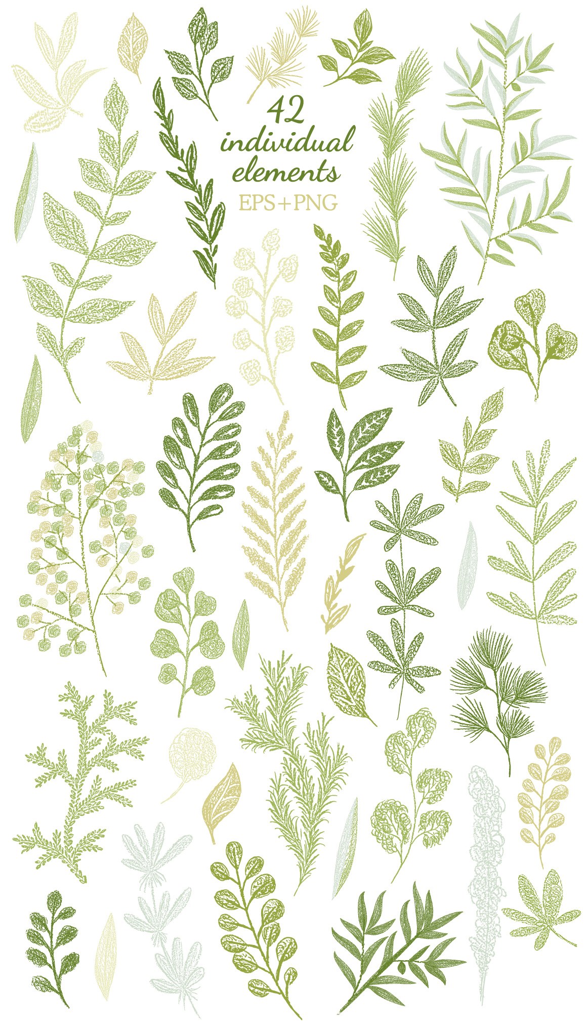 Vector Leaves Branches, Herbs Fresh Doodle collection