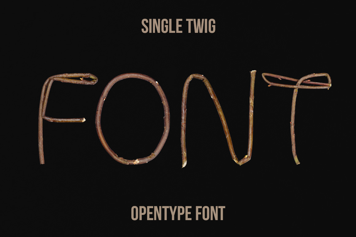 Single Twig Font