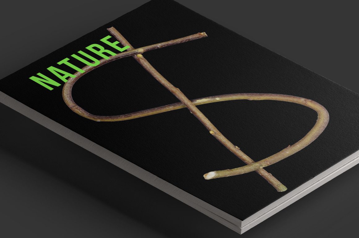 Single Twig Font Single Twig Font