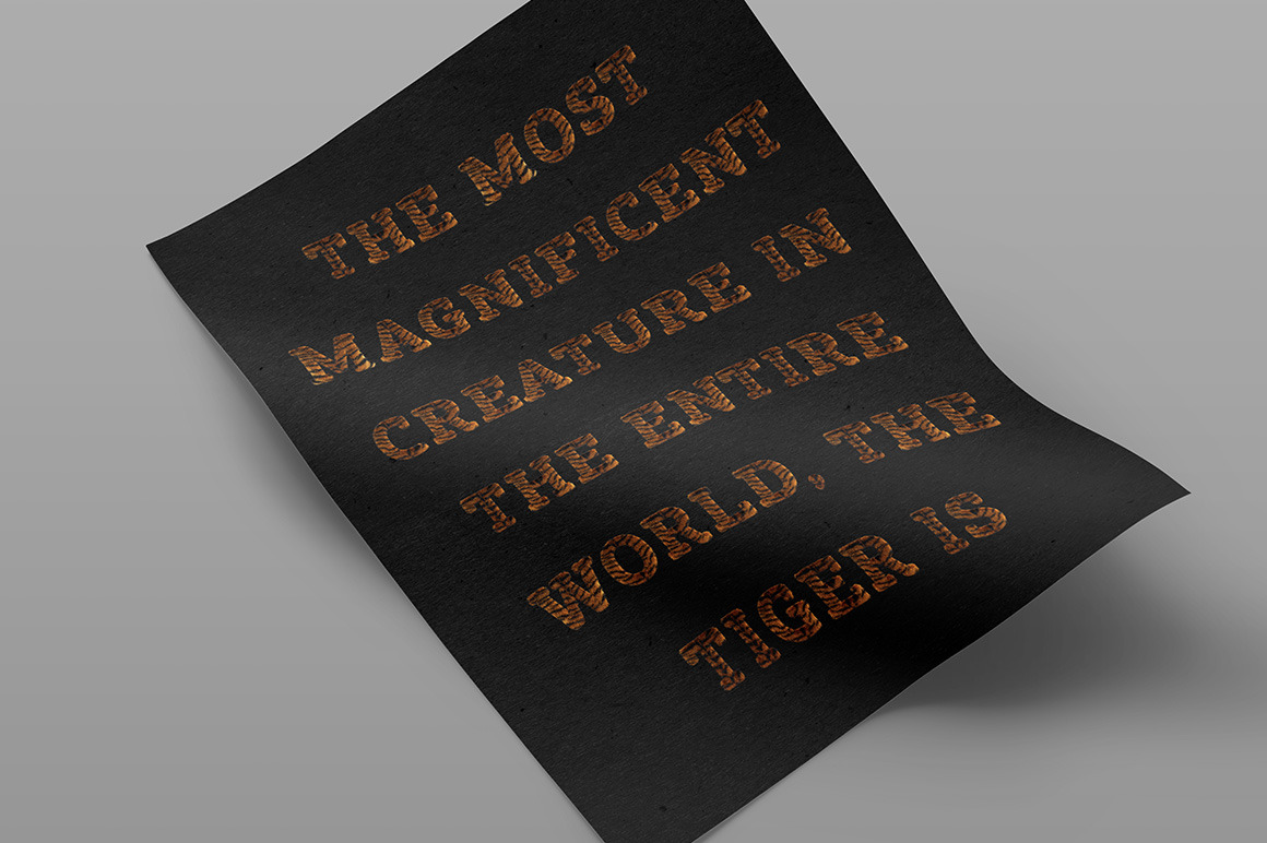 Tiger Font Tiger Font