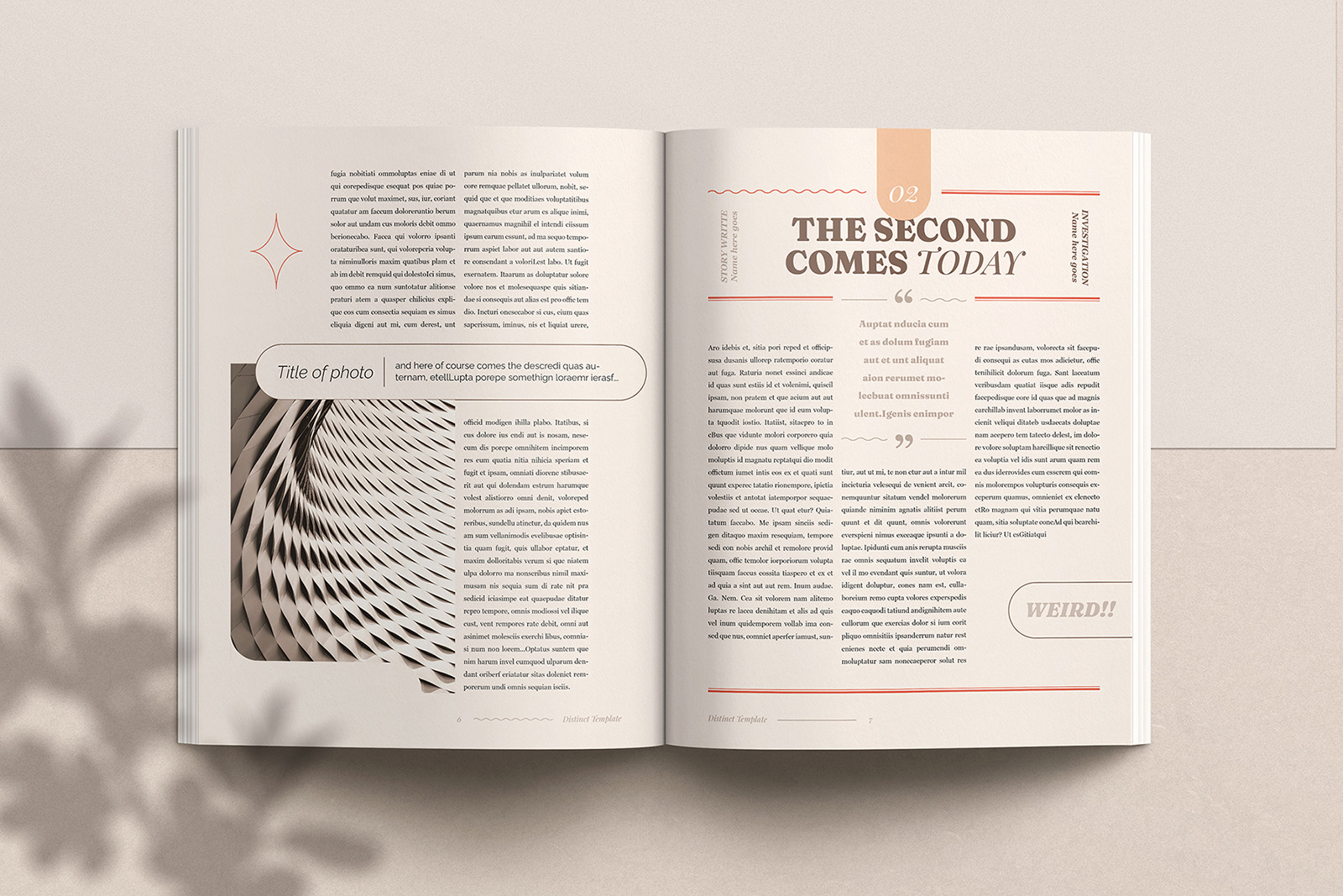 Distinct Indesign Template