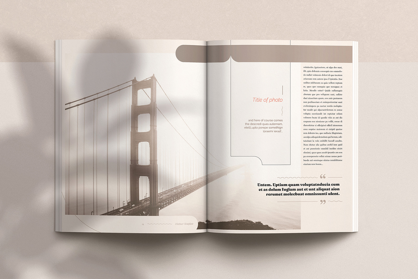 Distinct Indesign Template