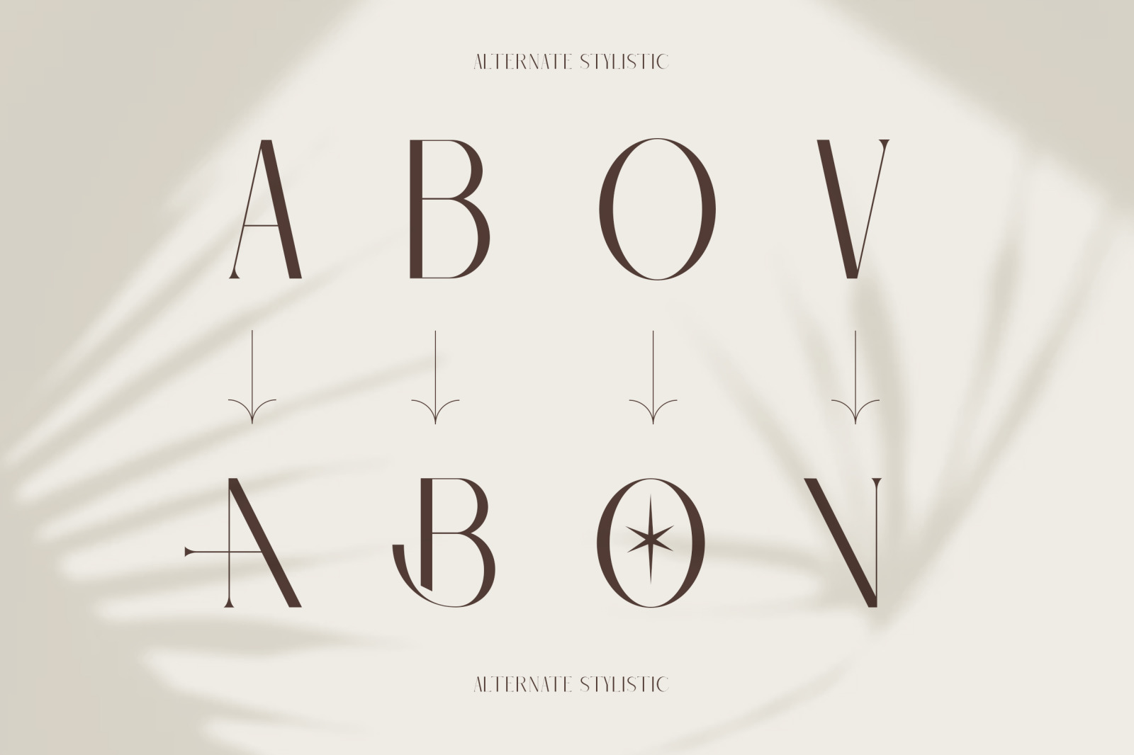 Barieta Elegant Typeface Barieta Elegant Typeface