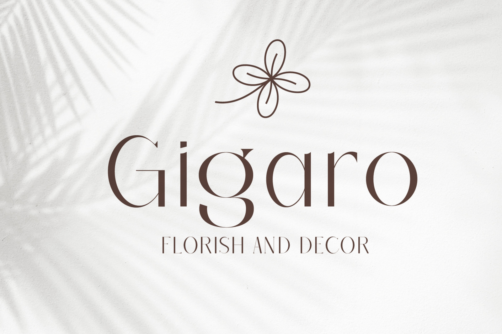 Barieta Elegant Typeface Barieta Elegant Typeface