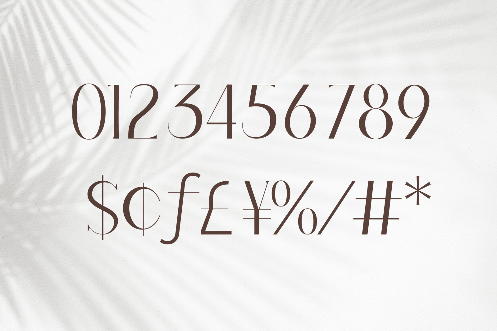 Barieta Elegant Typeface Barieta Elegant Typeface
