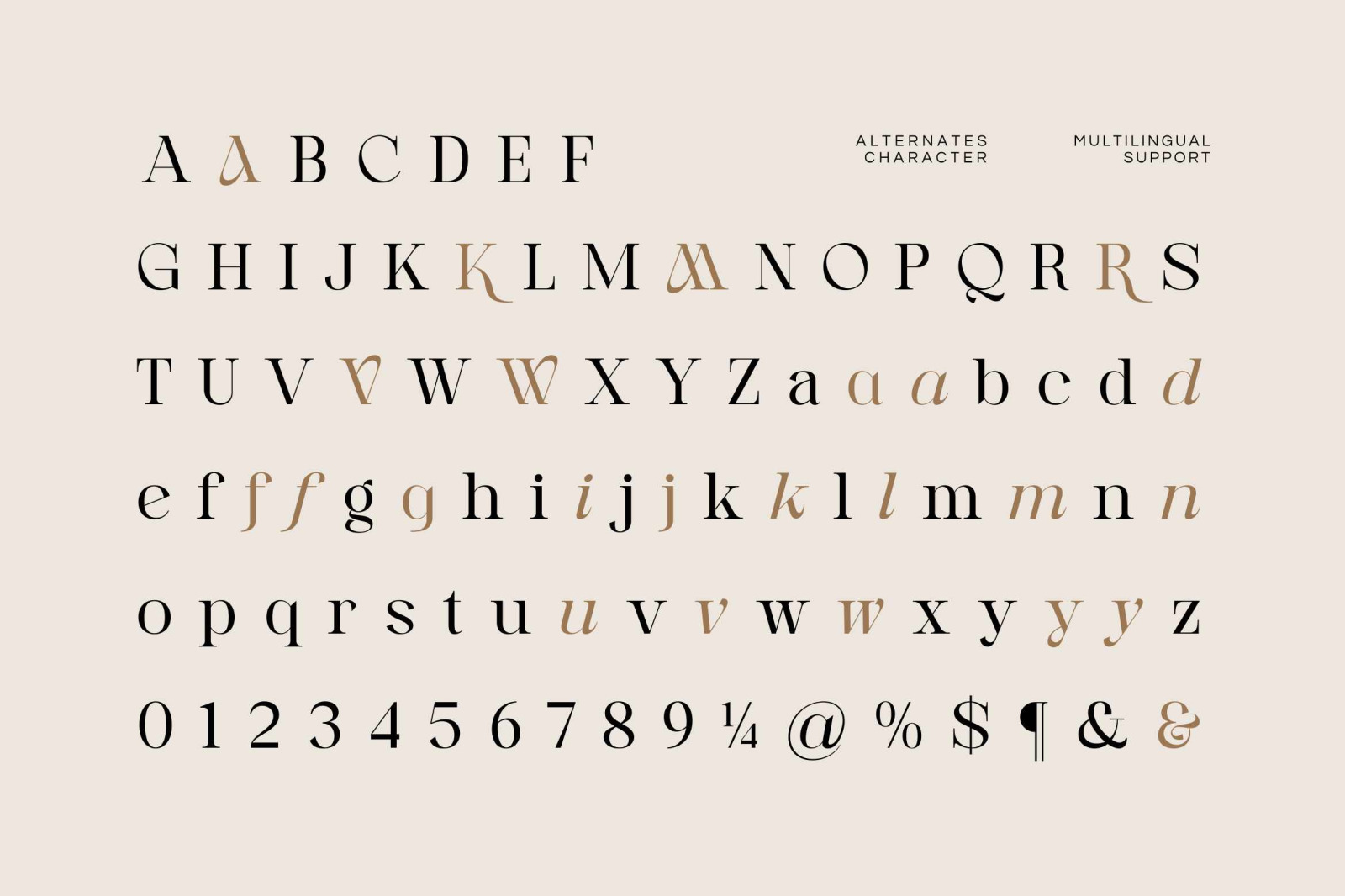 Daily Wiogea - Modern Display Font
