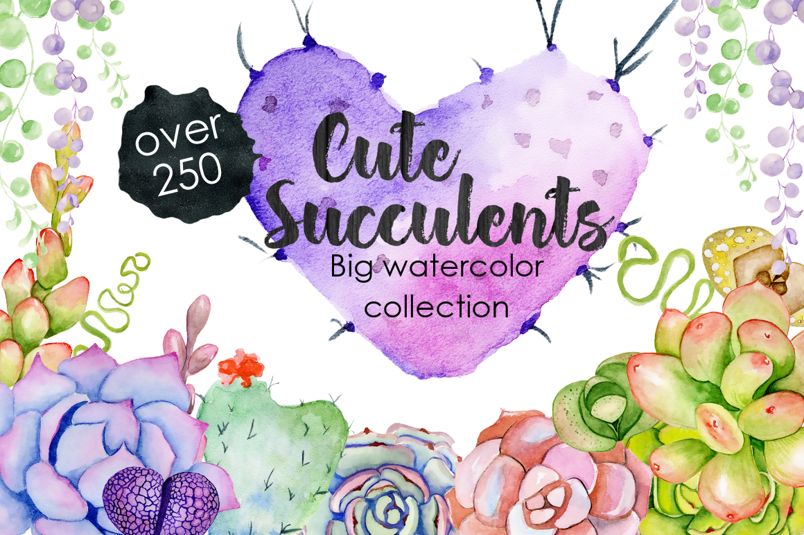 Succulents & Cactuses Succulents & Cactuses