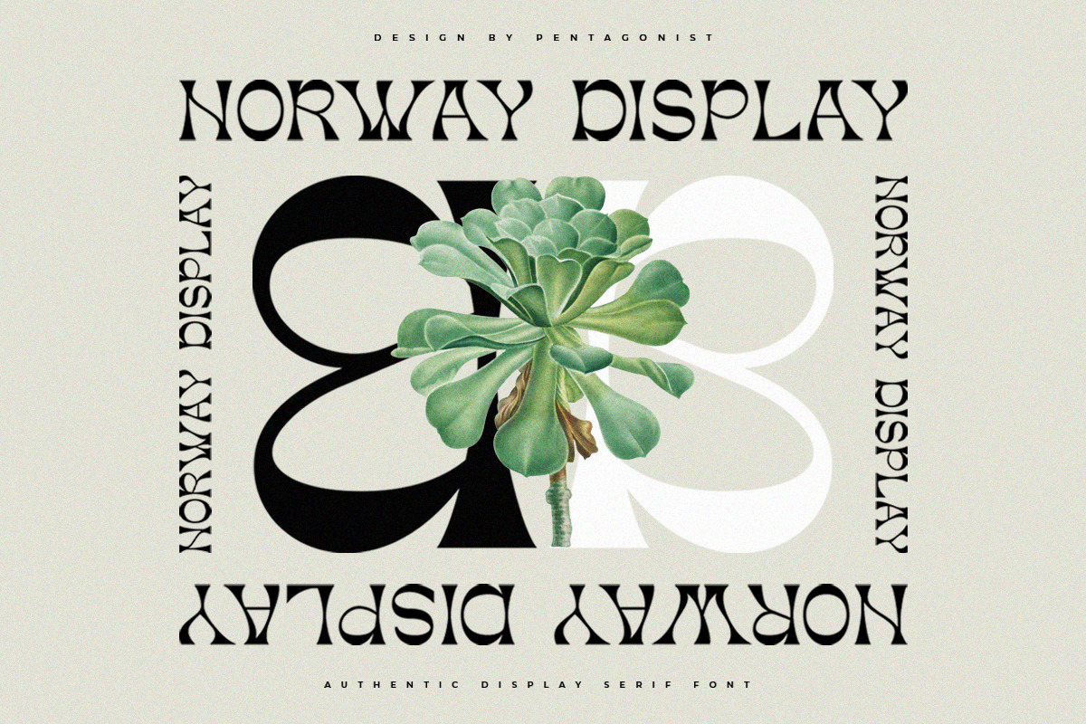 Norway | Authentic Display Typeface Norway | Authentic Display Typeface