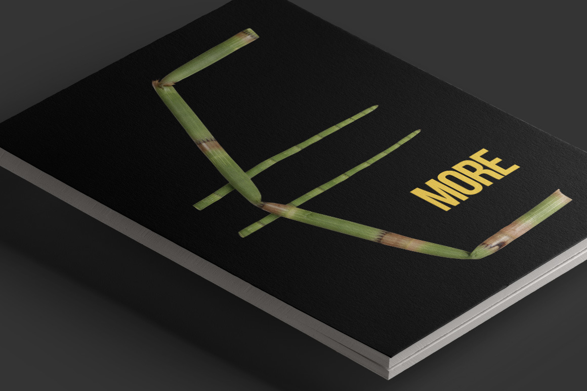 Bamboo Font Bamboo Font