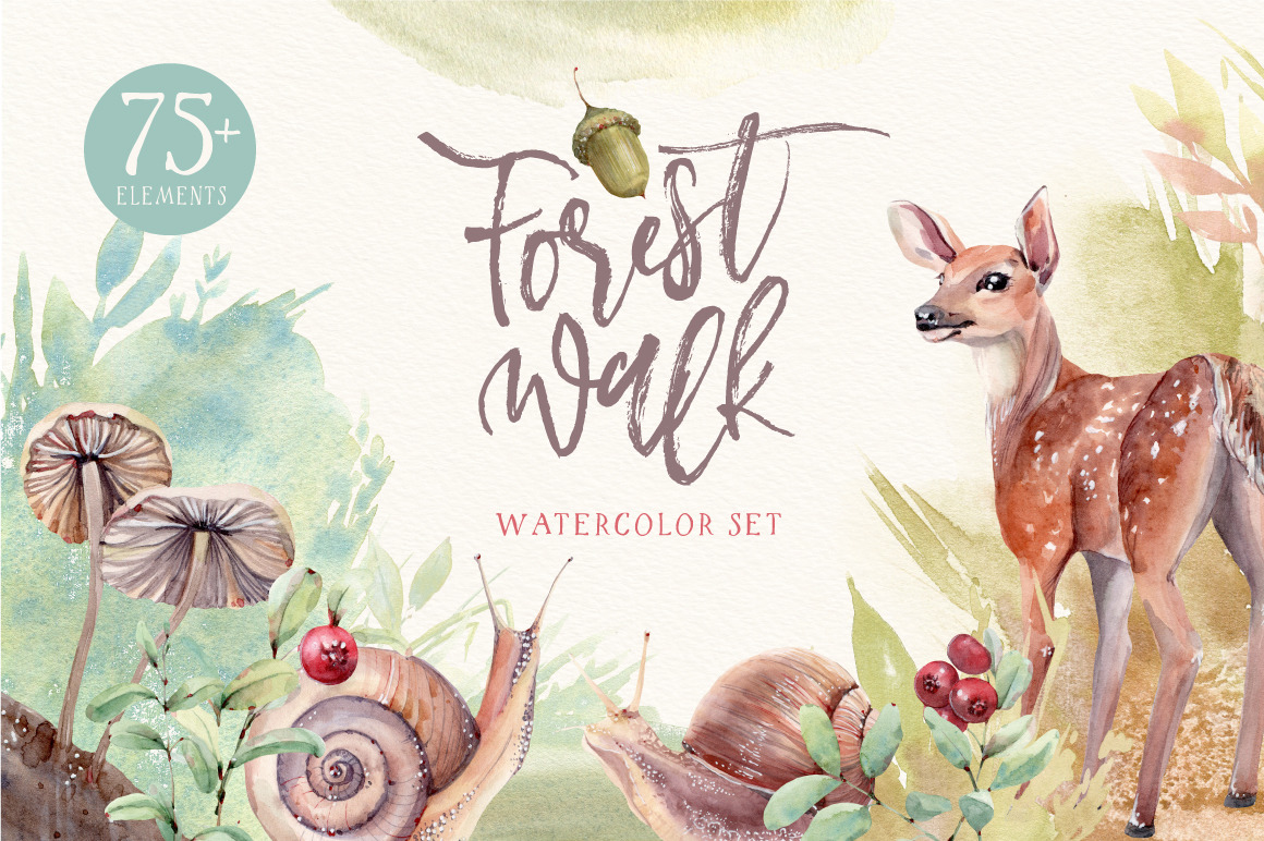 FOREST WALK Watercolor set FOREST WALK Watercolor set