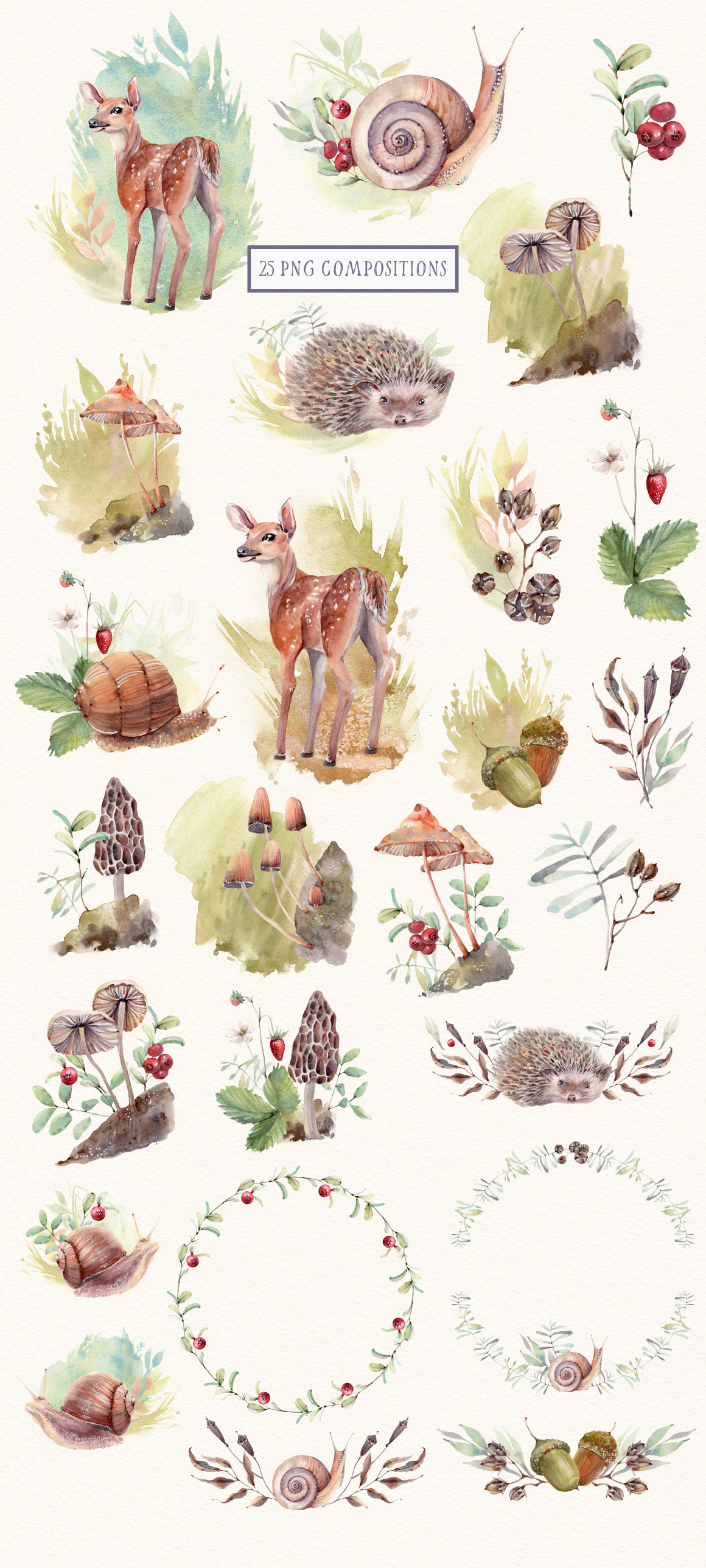 FOREST WALK Watercolor set FOREST WALK Watercolor set