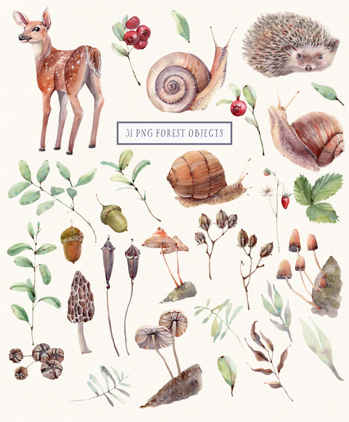 FOREST WALK Watercolor set FOREST WALK Watercolor set