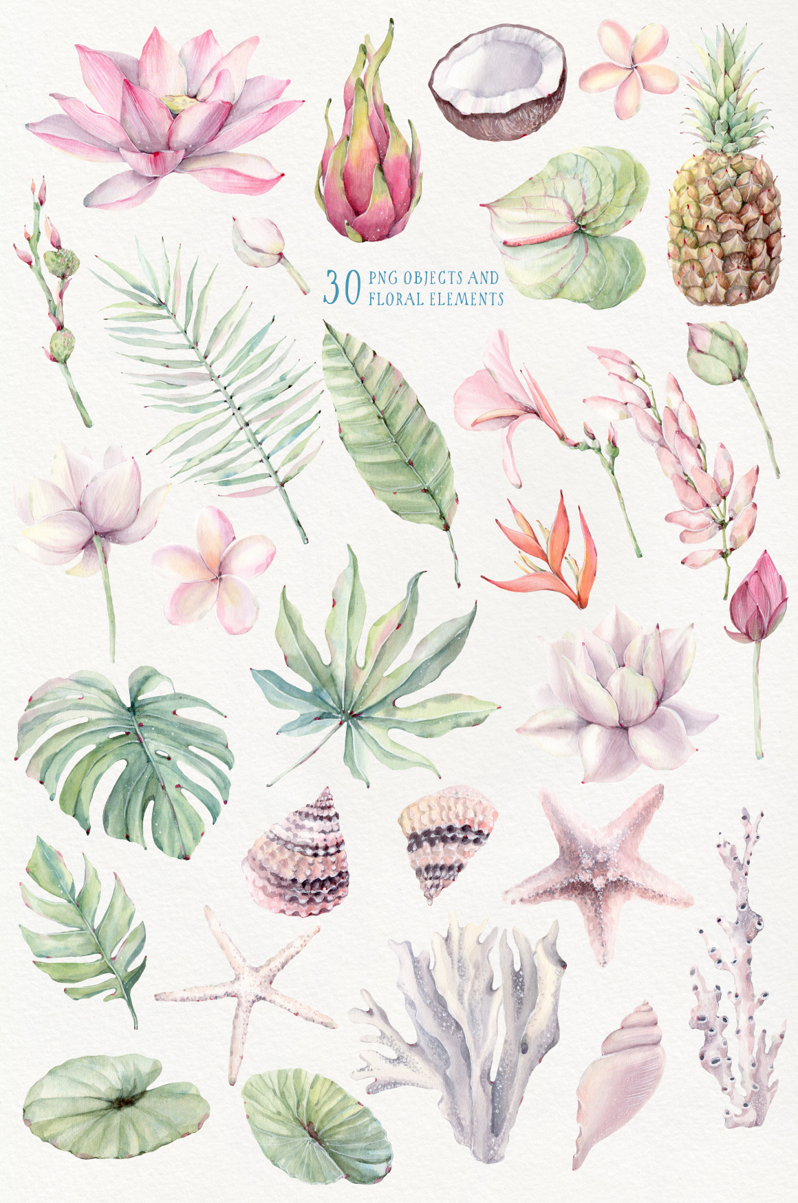 TROPICAL BREEZE Watercolor set