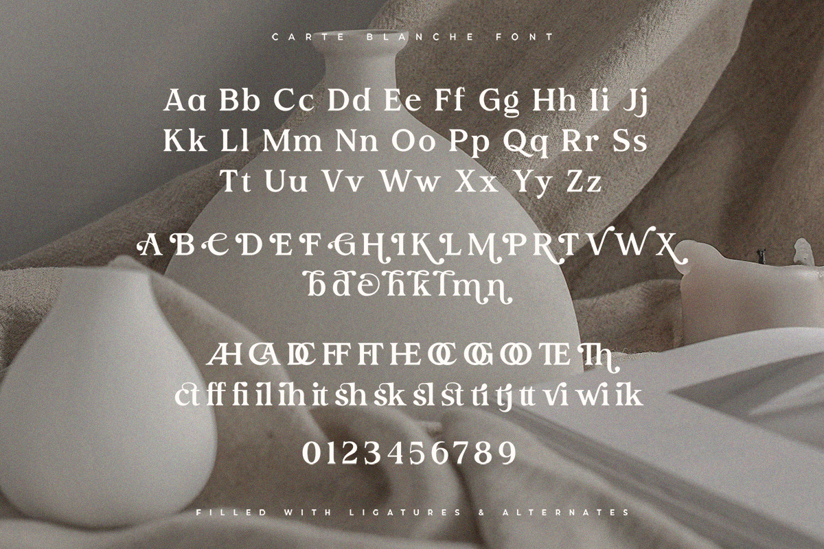 Carte Blanche | Stunning Serif Font Carte Blanche | Stunning Serif Font