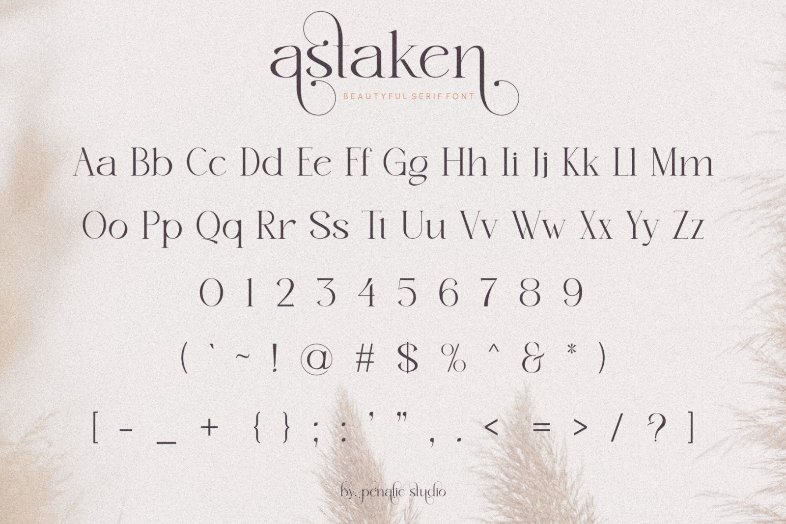 Astaken - Beautyful serif font