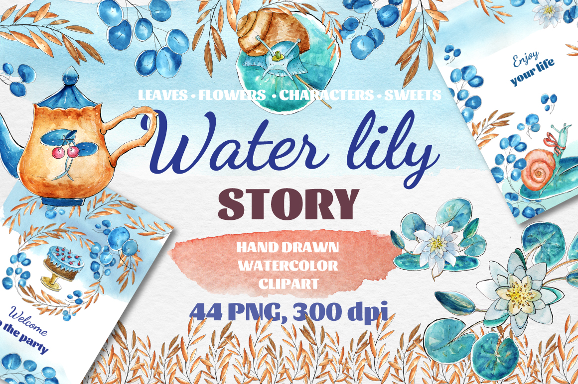 Water Lily Story Water Lily Story