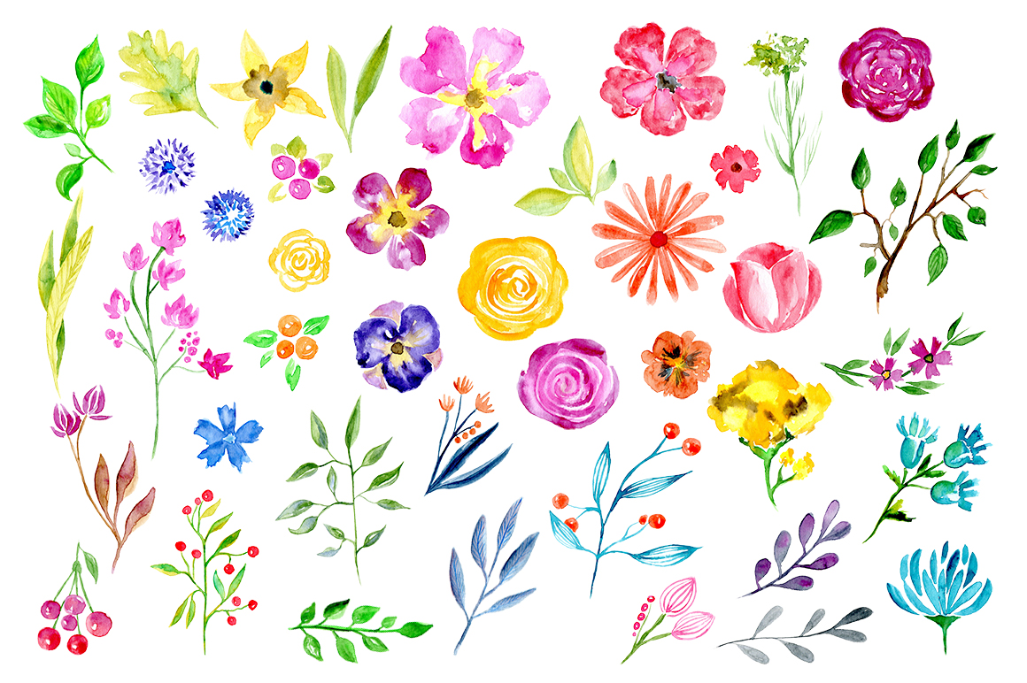 41 Watercolor floral elements