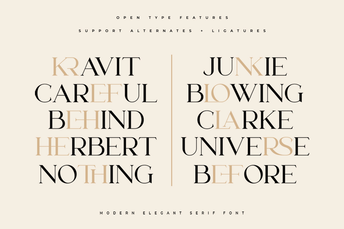 Lanche | Modern Elegant Serif Font Lanche | Modern Elegant Serif Font