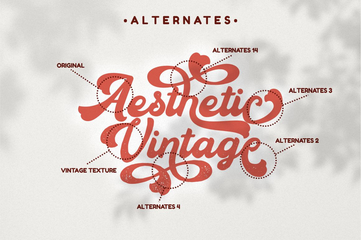 Aesthetic Vintage - Bold Vintage