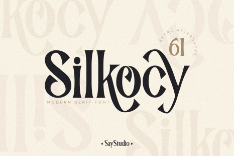 Silkocy - Modern Serif Font - 00s