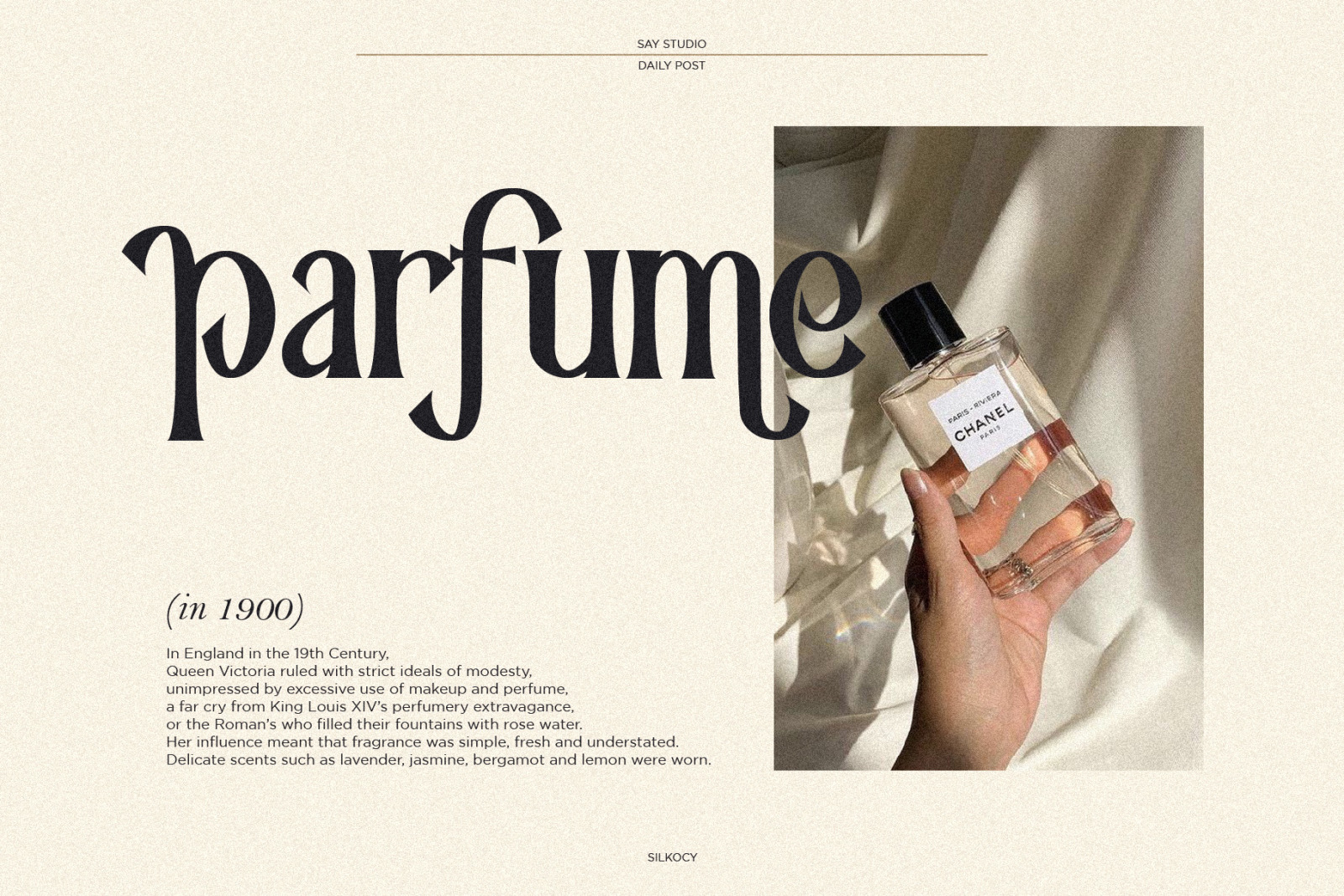 Silkocy - Modern Serif Font Silkocy - Modern Serif Font