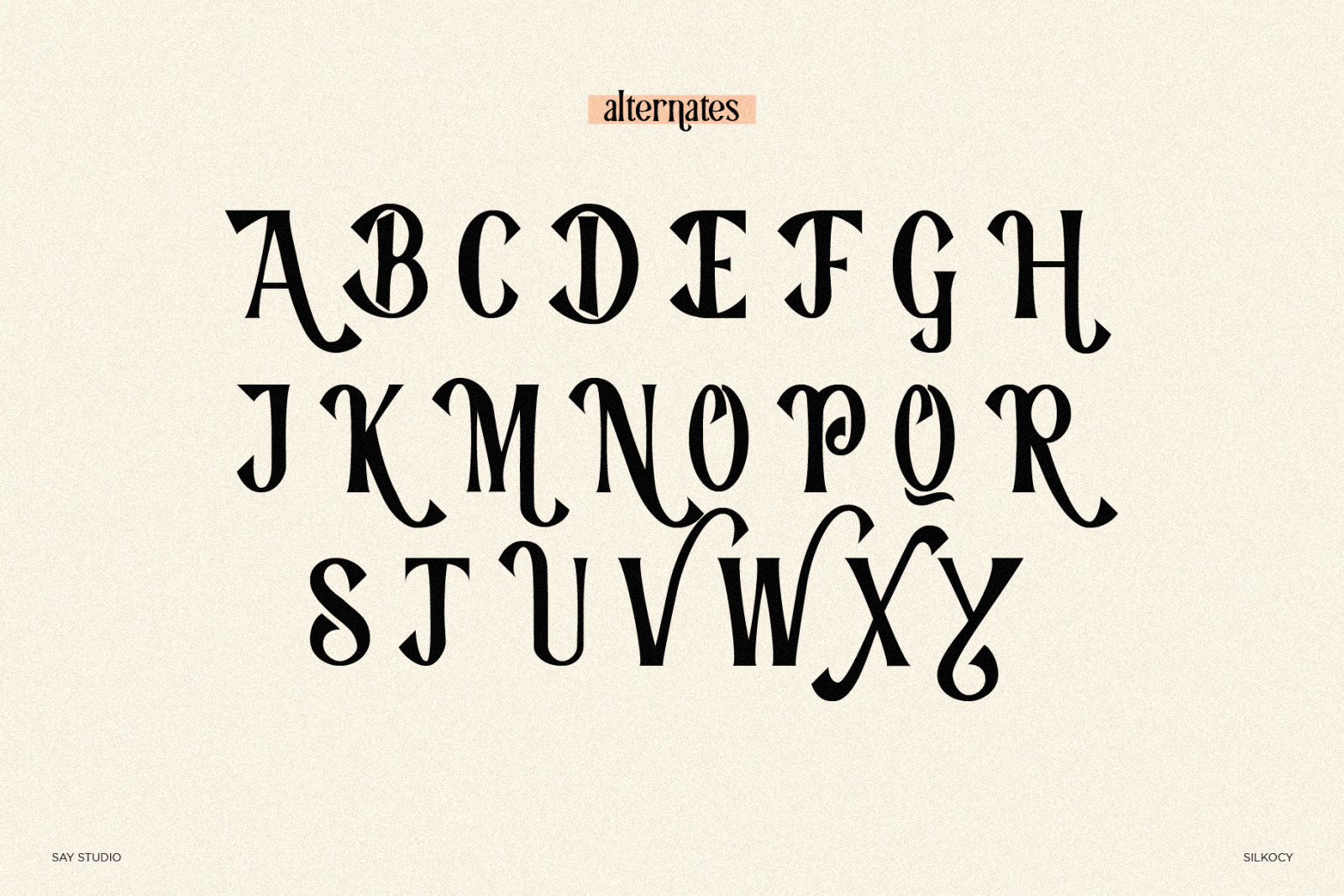 Silkocy - Modern Serif Font Silkocy - Modern Serif Font