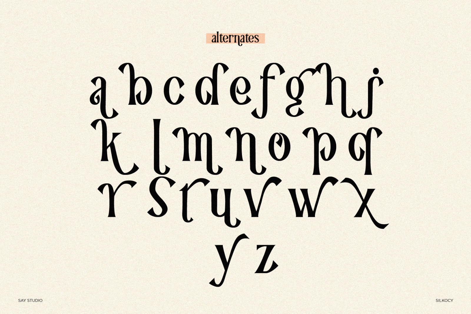 Silkocy - Modern Serif Font Silkocy - Modern Serif Font