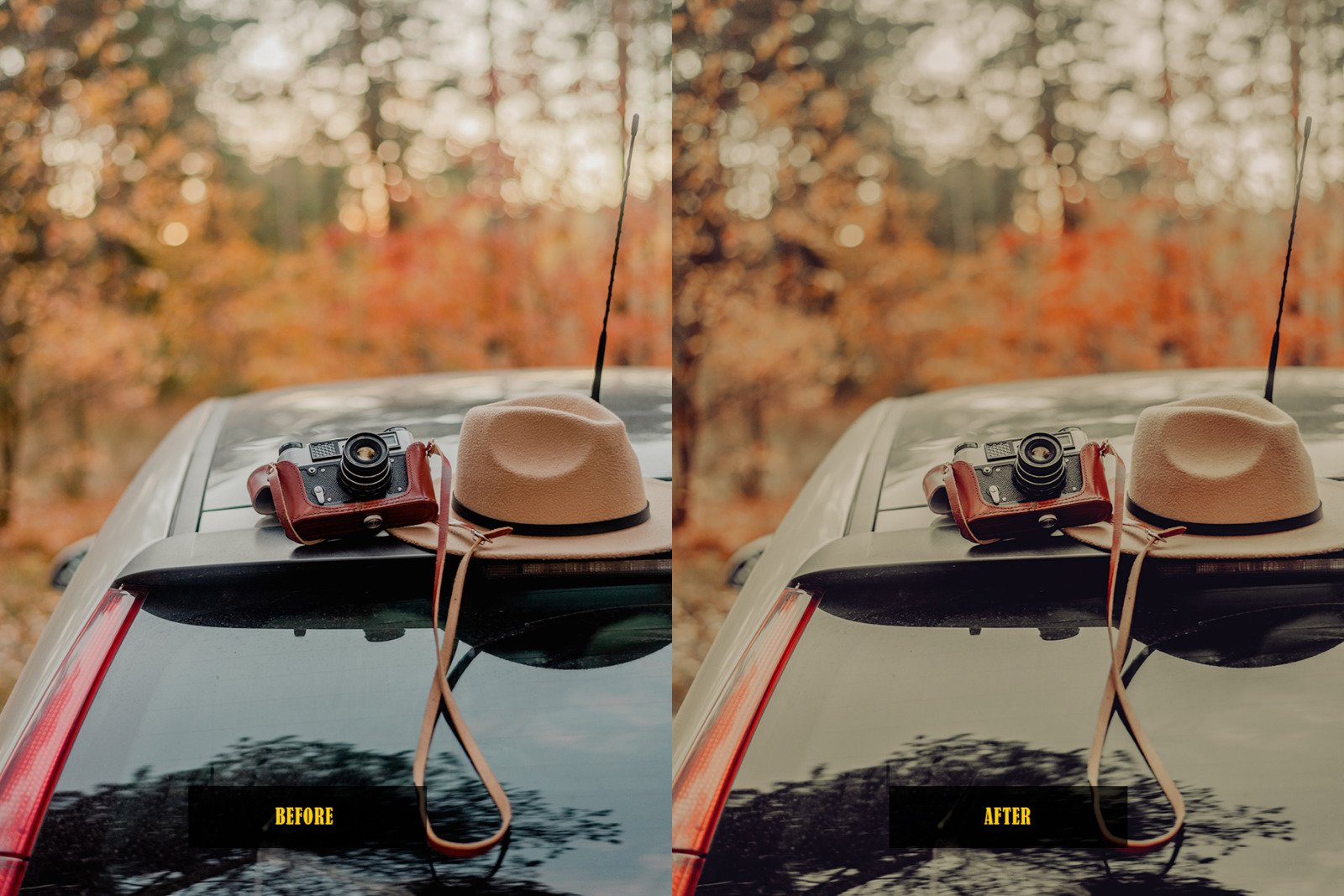 Analog Film Lightroom Presets Analog Film Lightroom Presets