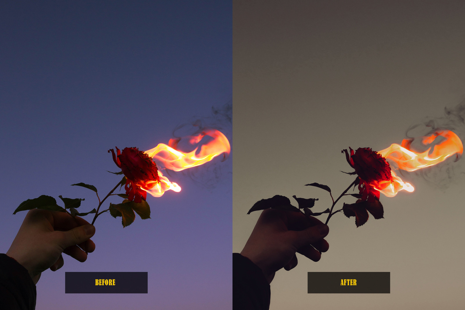 Analog Film Lightroom Presets Analog Film Lightroom Presets
