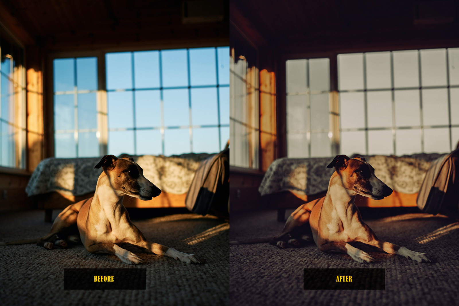 Analog Film Lightroom Presets