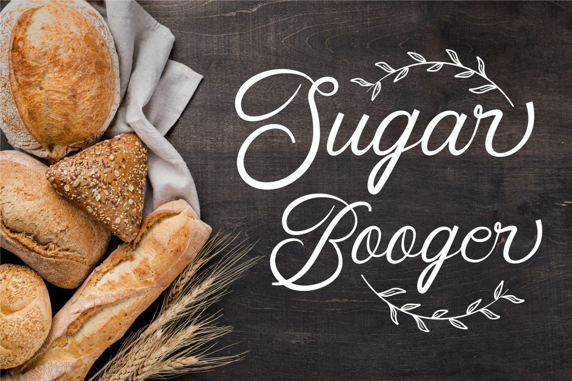 Faldith - Elegant Script Font Faldith - Elegant Script Font