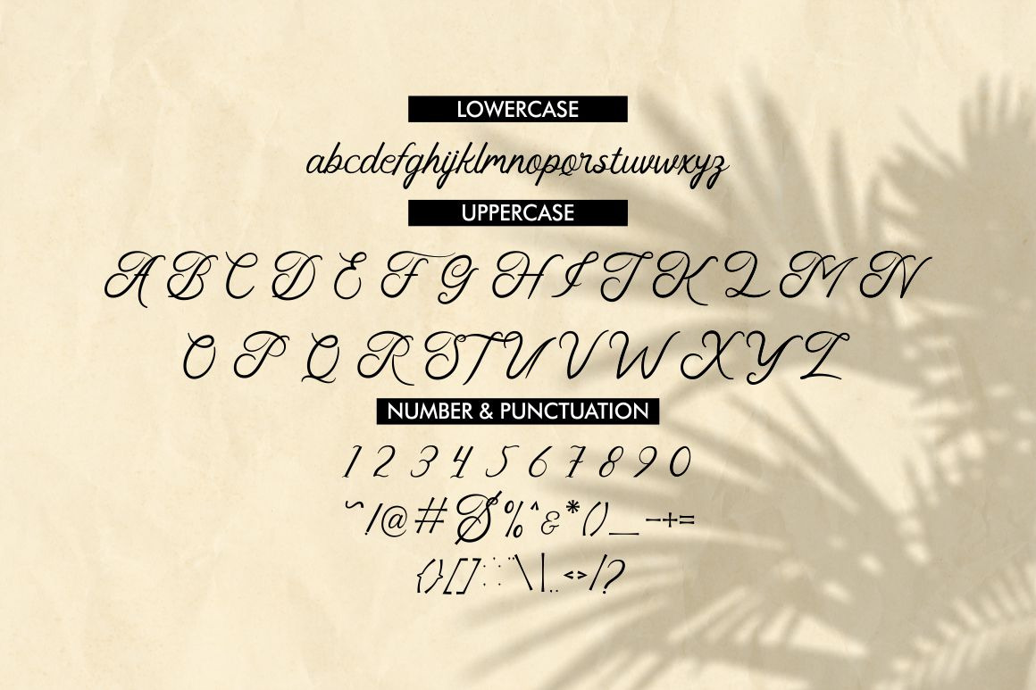 Faldith - Elegant Script Font Faldith - Elegant Script Font