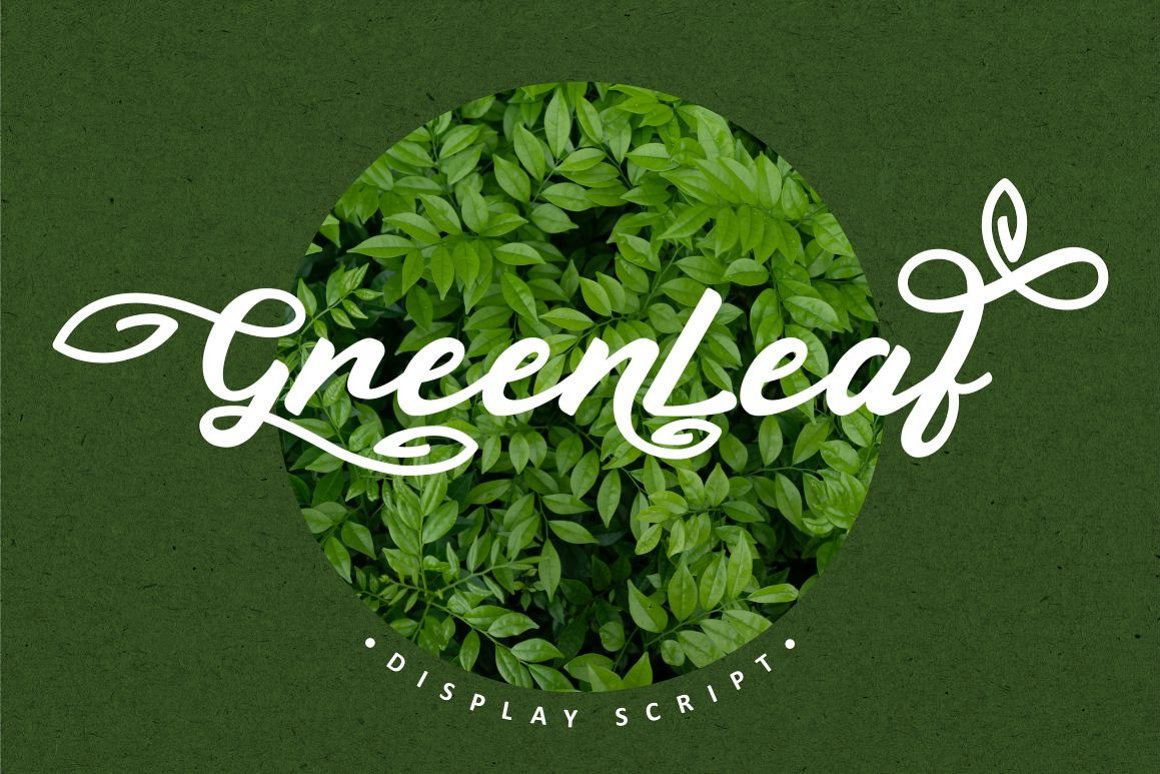 Green Leaf - Display Script Green Leaf - Display Script