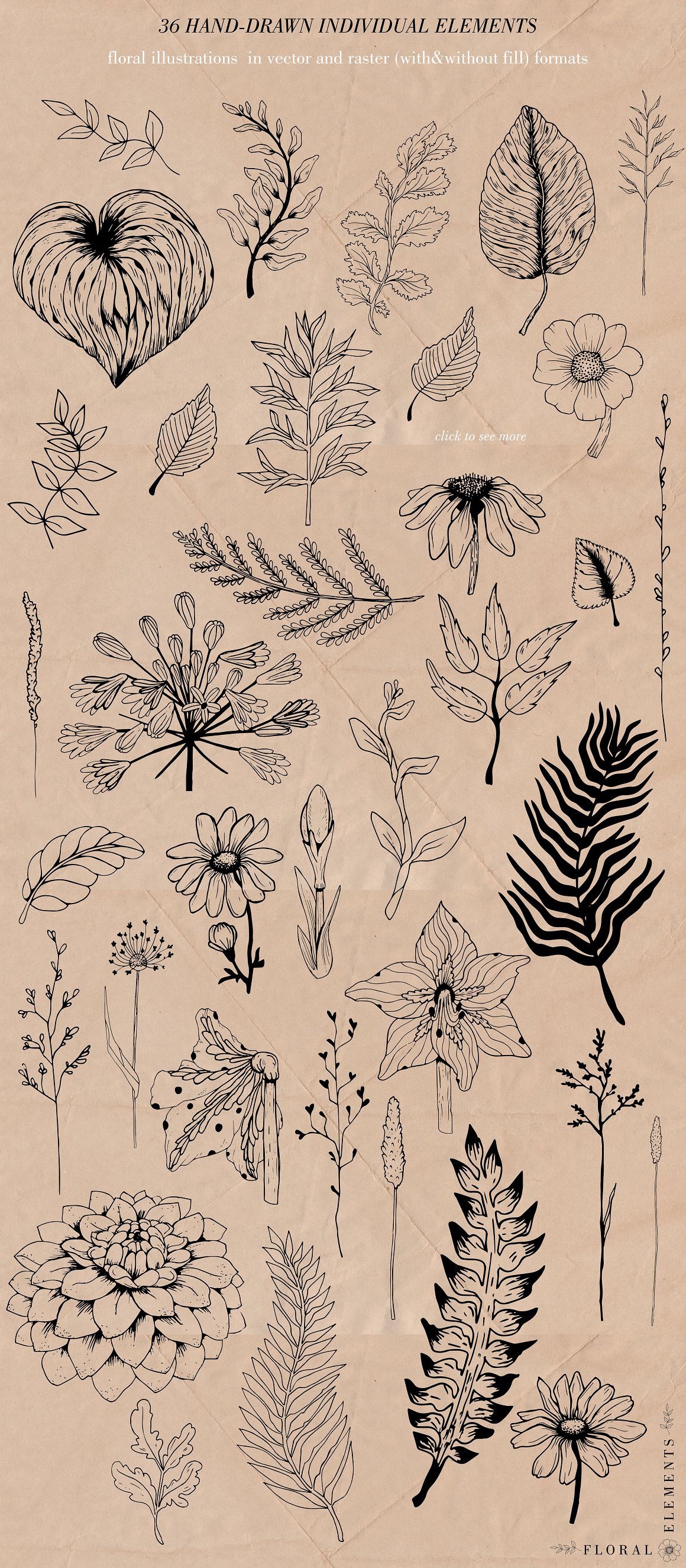 Hand-drawn Floral Collection Hand-drawn Floral Collection