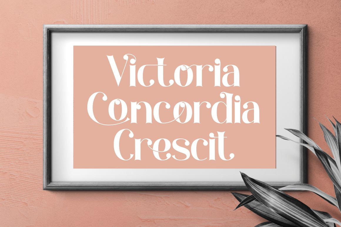 Okeffe - Ligature Serif Font Okeffe - Ligature Serif Font