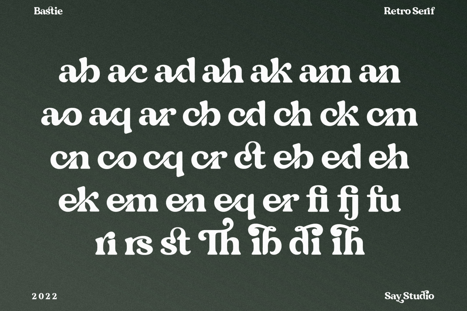 Bastie - Elegant Serif Font Bastie - Elegant Serif Font