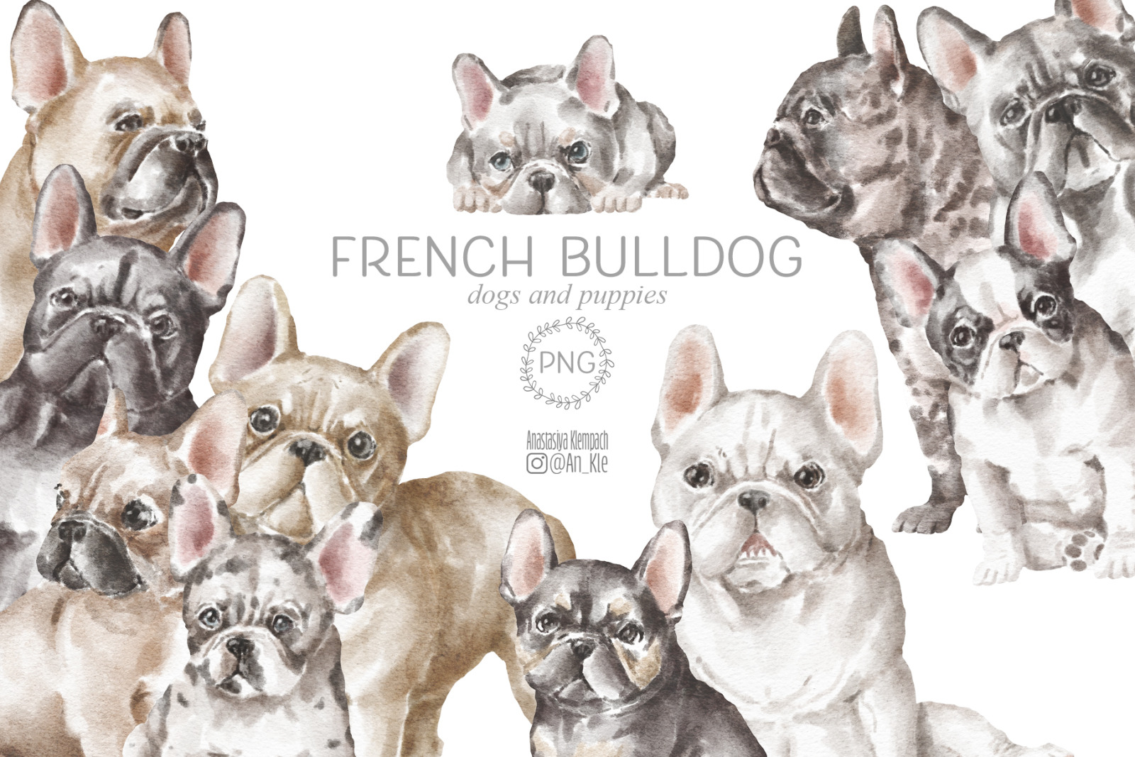 French bulldog dogs clipart png